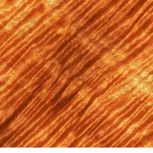 Focus SE Speakers From Legacy Audio