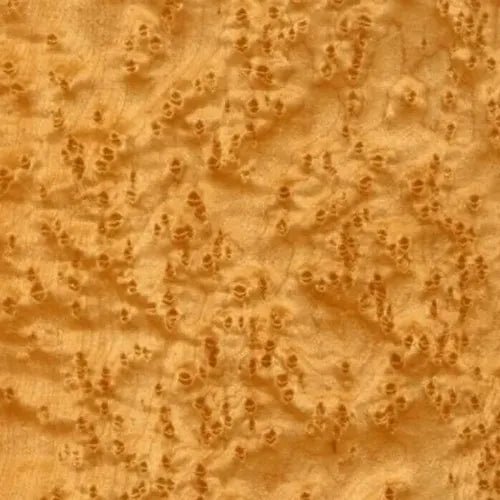 Signature SE Speakers From Legacy Audio