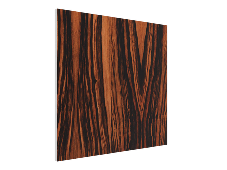 Vicoustic Flat Panel Fusion Wow
