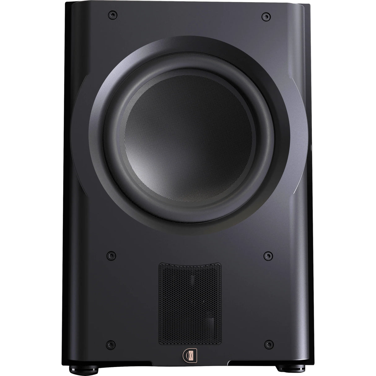Perlisten Audio R210s Subwoofer-1