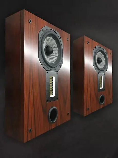 Perlisten Audio Wall Speaker